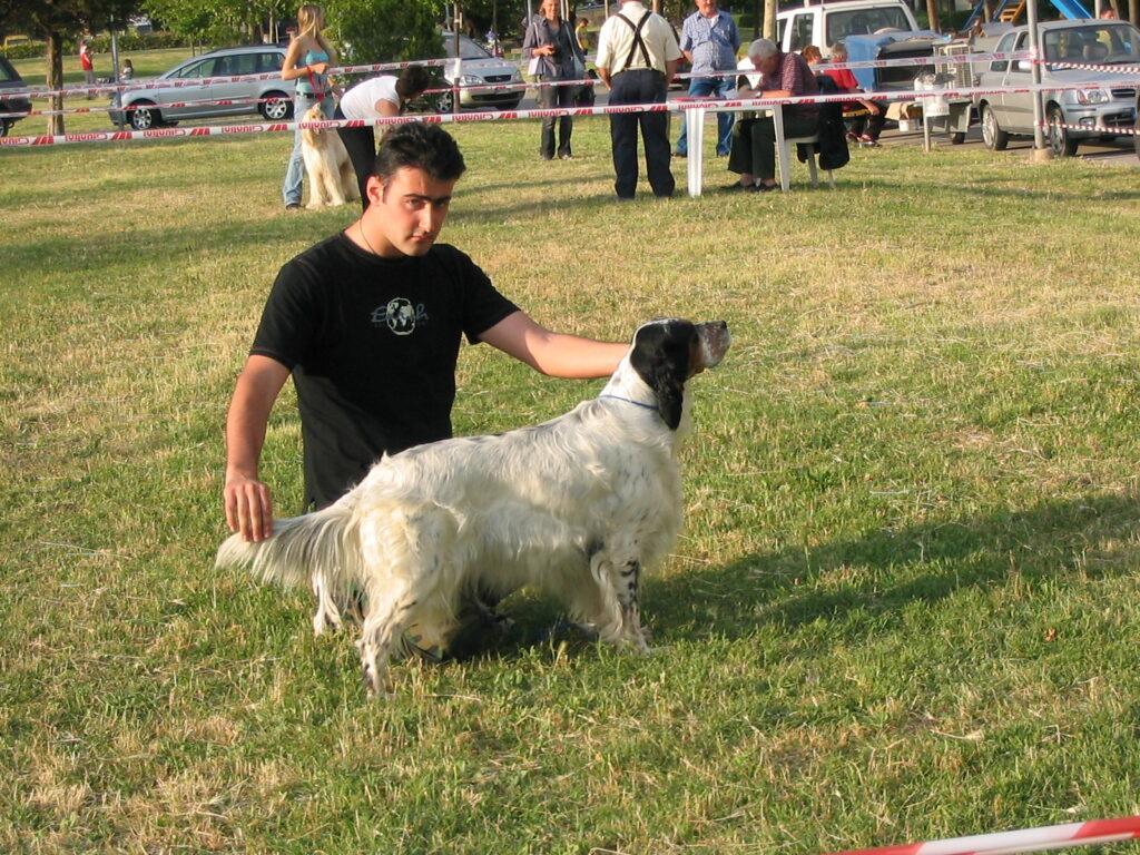 Attrezzatura del Toelettatore