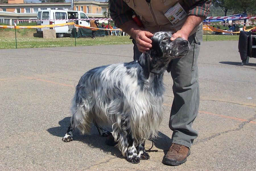 Additivi e Alimentazione