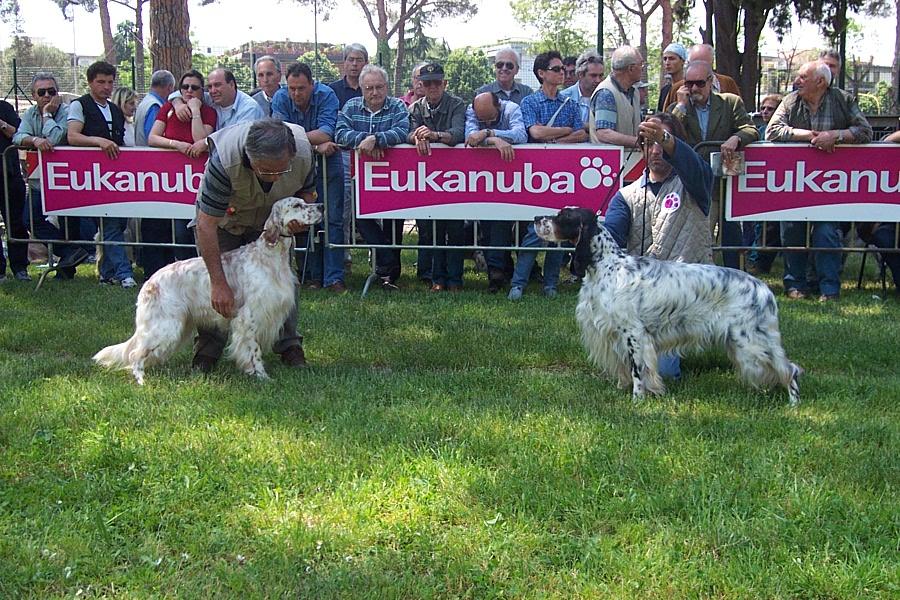 I giudici delle Esposizioni Canine